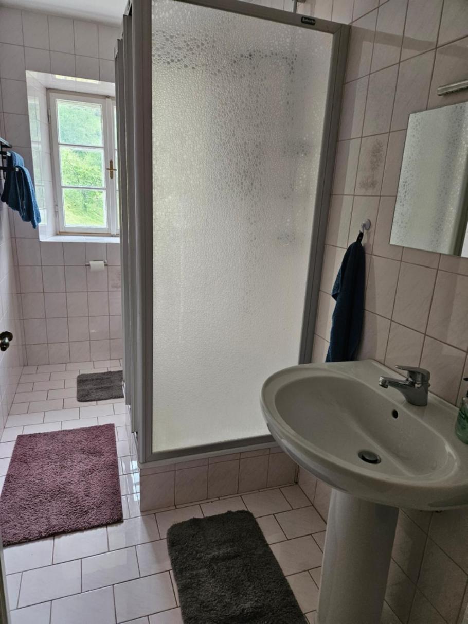 Wohnung Im Nationalpark Kalkalpen 3 Reichraming 외부 사진