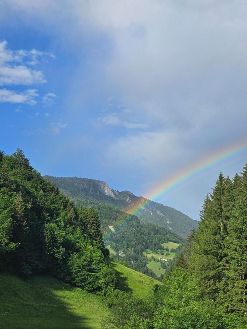 Wohnung Im Nationalpark Kalkalpen 3 Reichraming 외부 사진