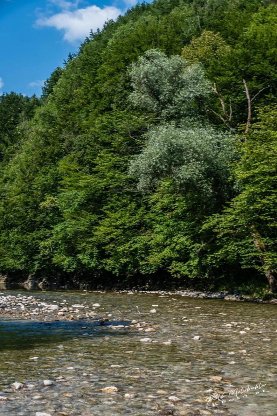Wohnung Im Nationalpark Kalkalpen 3 Reichraming 외부 사진